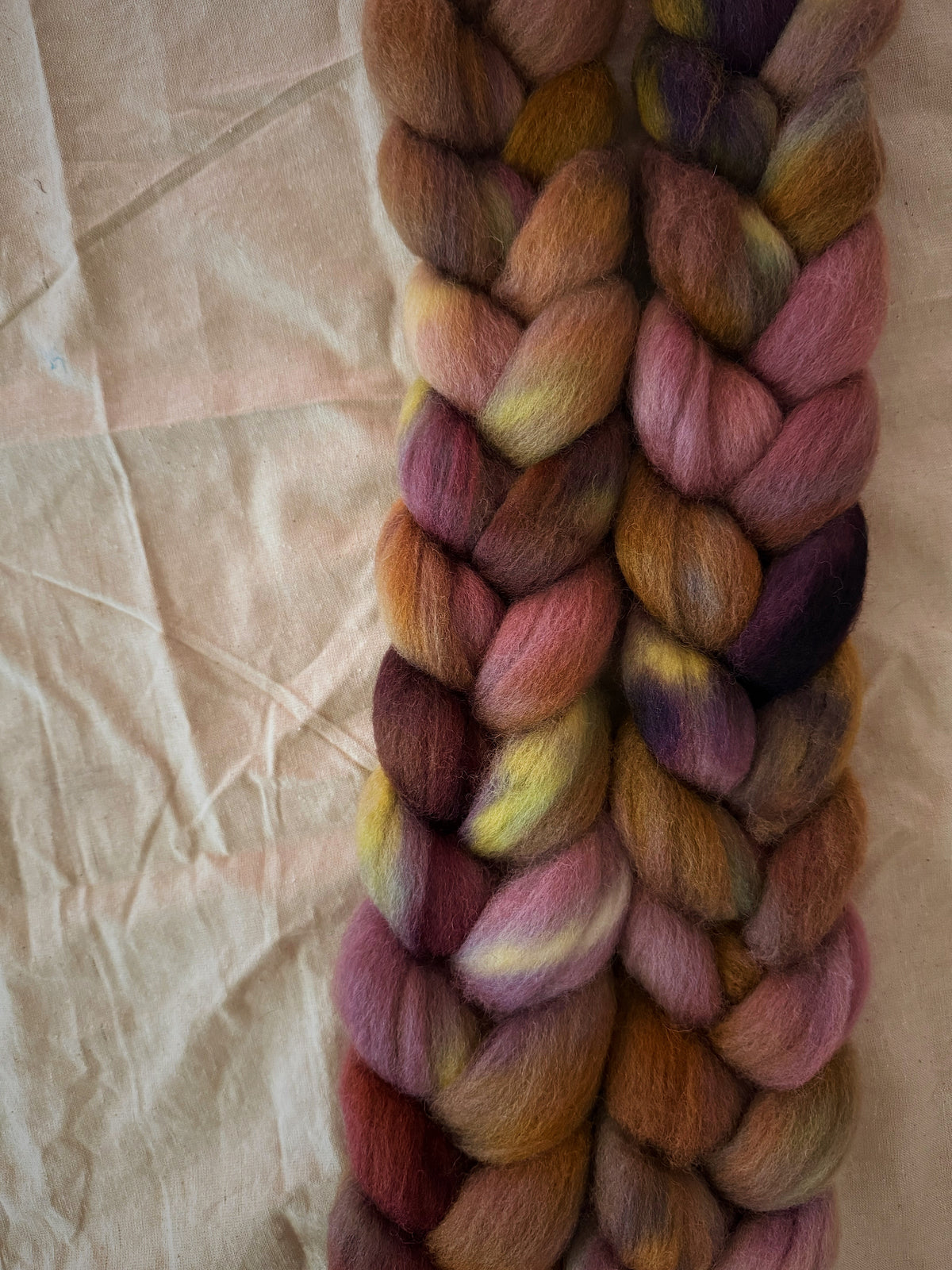 Brackenslick Wyrdling — Falkland