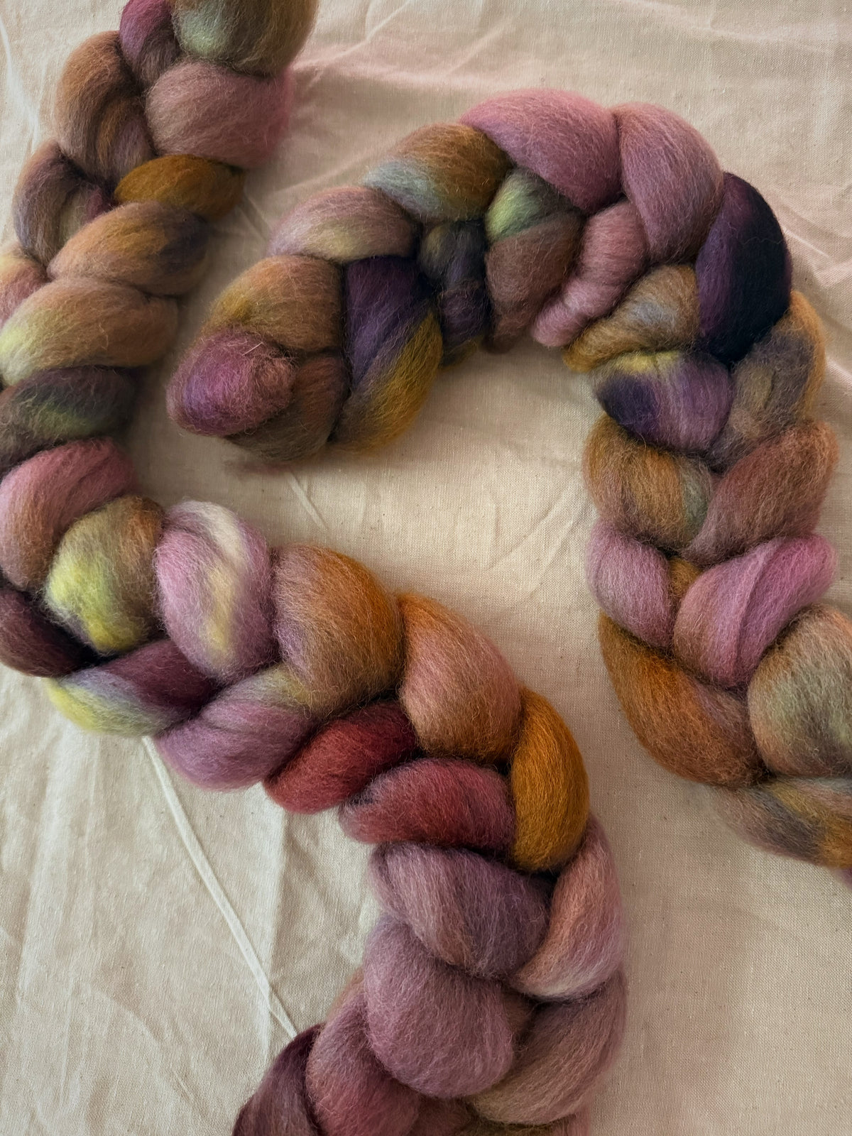 Brackenslick Wyrdling — Falkland