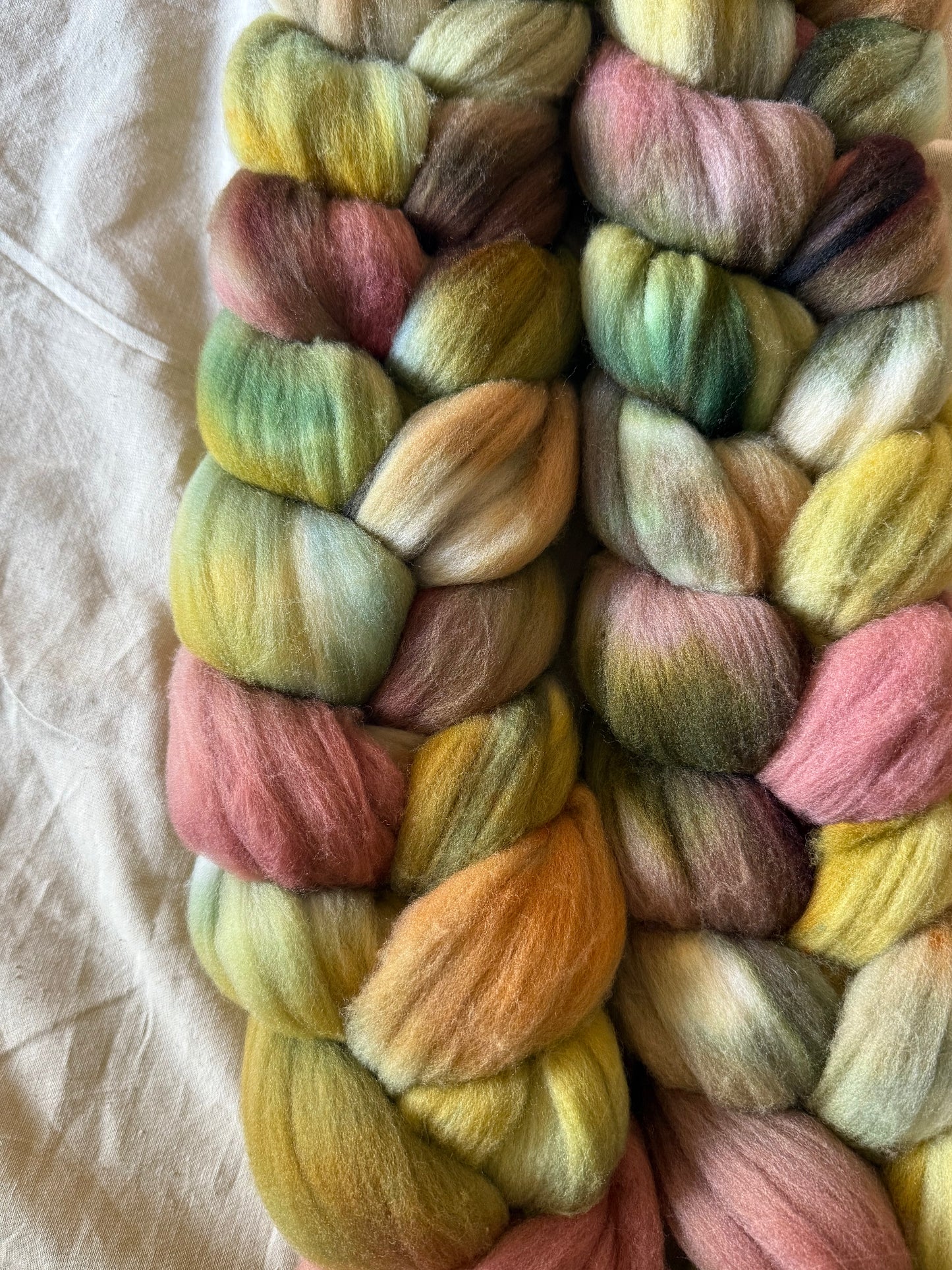 Herbarium — Targhee