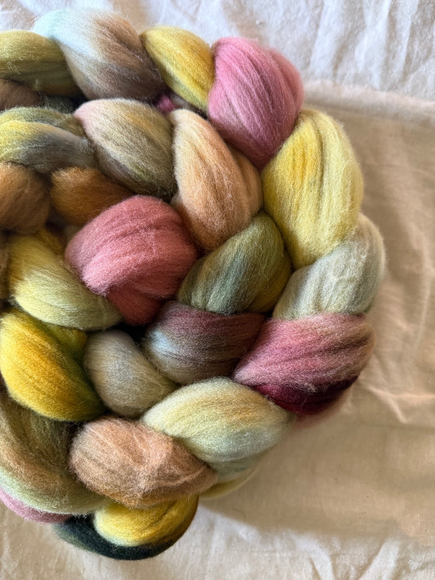 Herbarium — Targhee