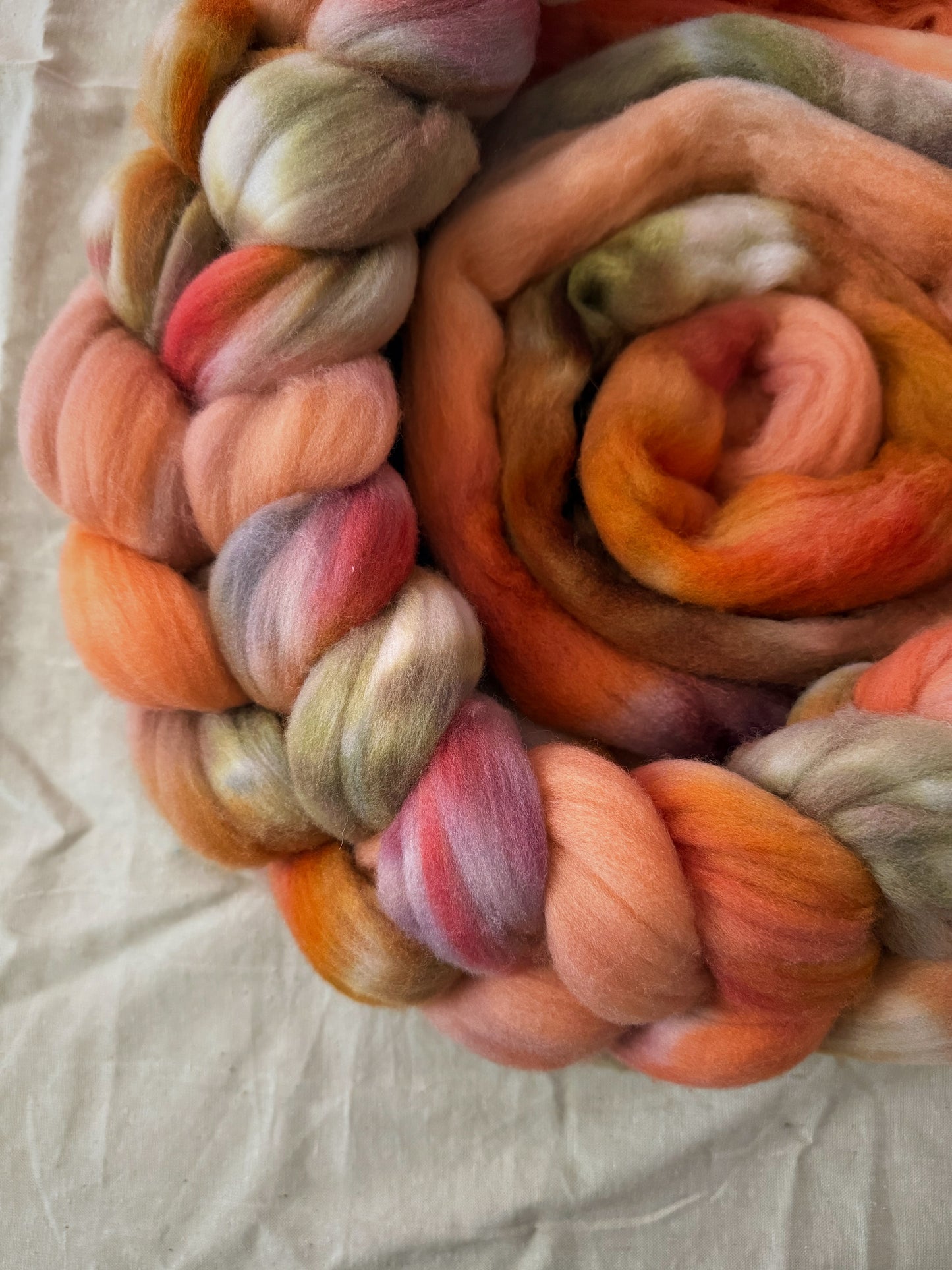 Petaline — Rambouillet