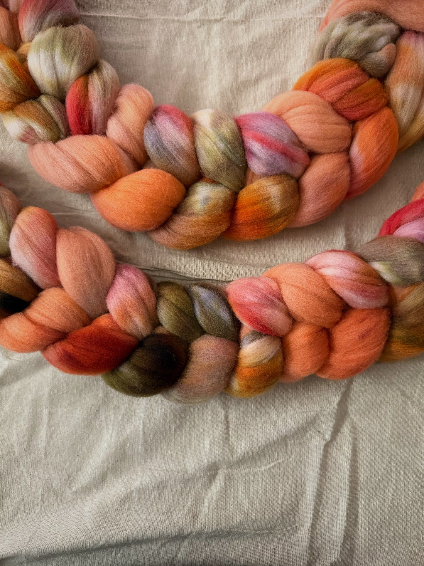 Petaline — Rambouillet