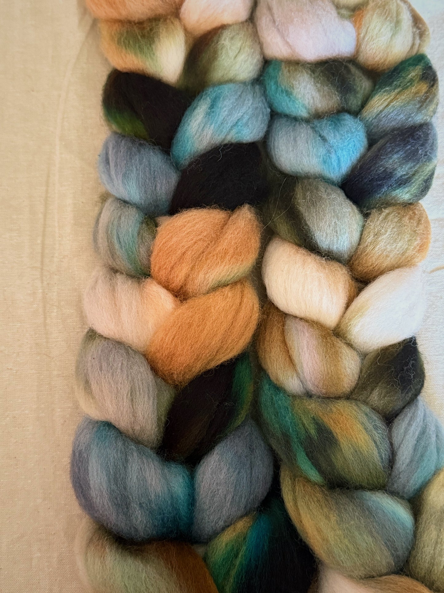 Shoal — Falkland