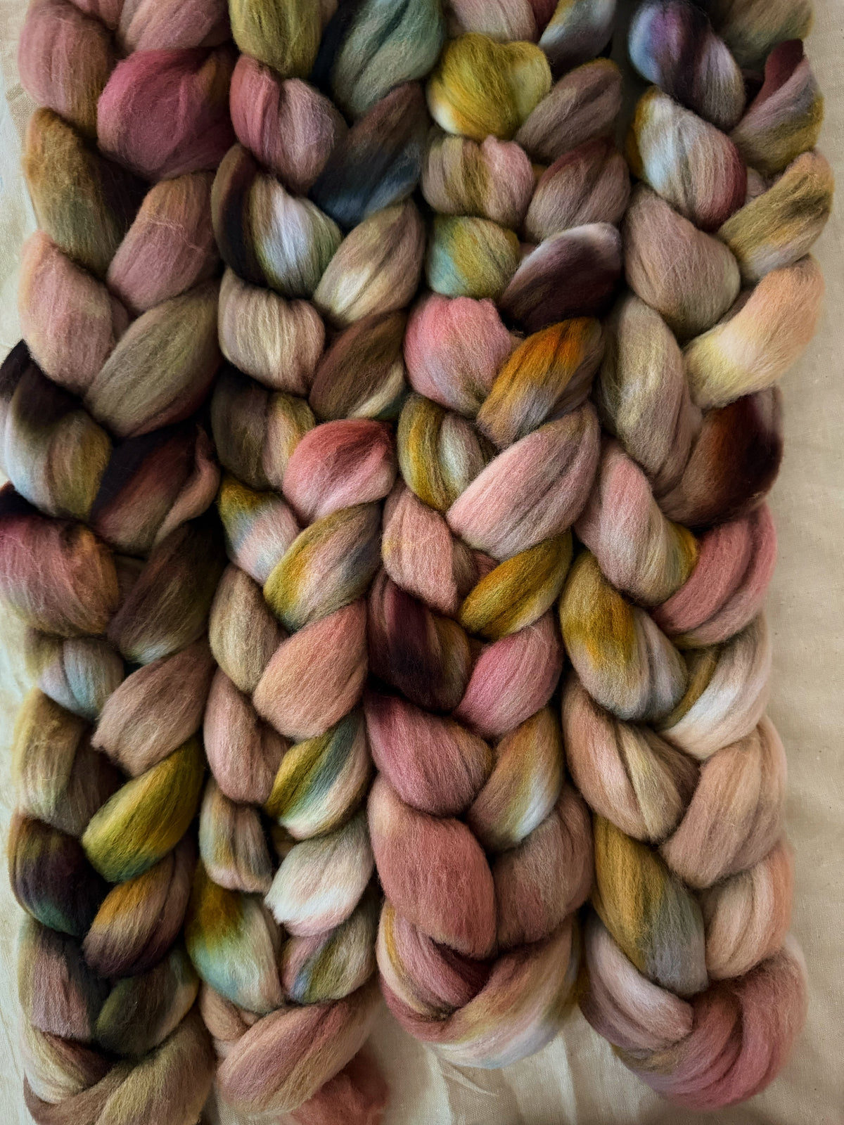 Brackenslick Wyrdling — Targhee