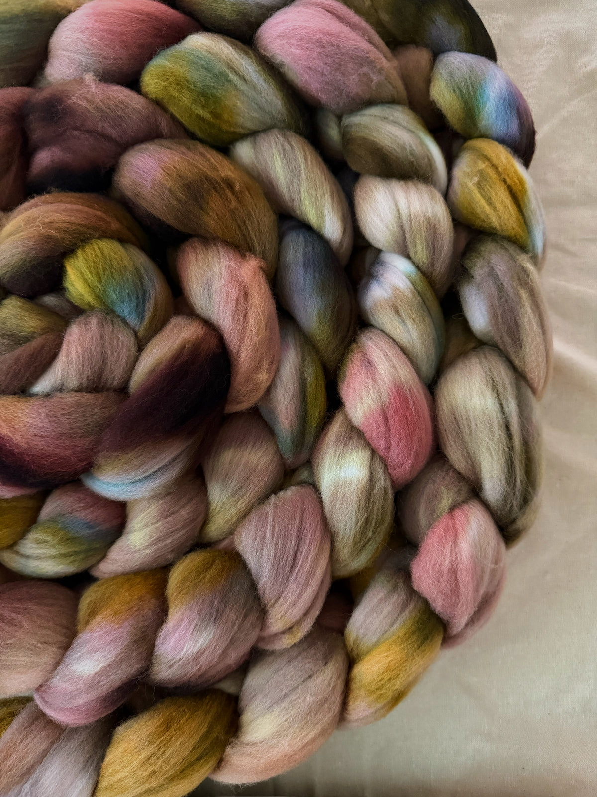 Brackenslick Wyrdling — Targhee