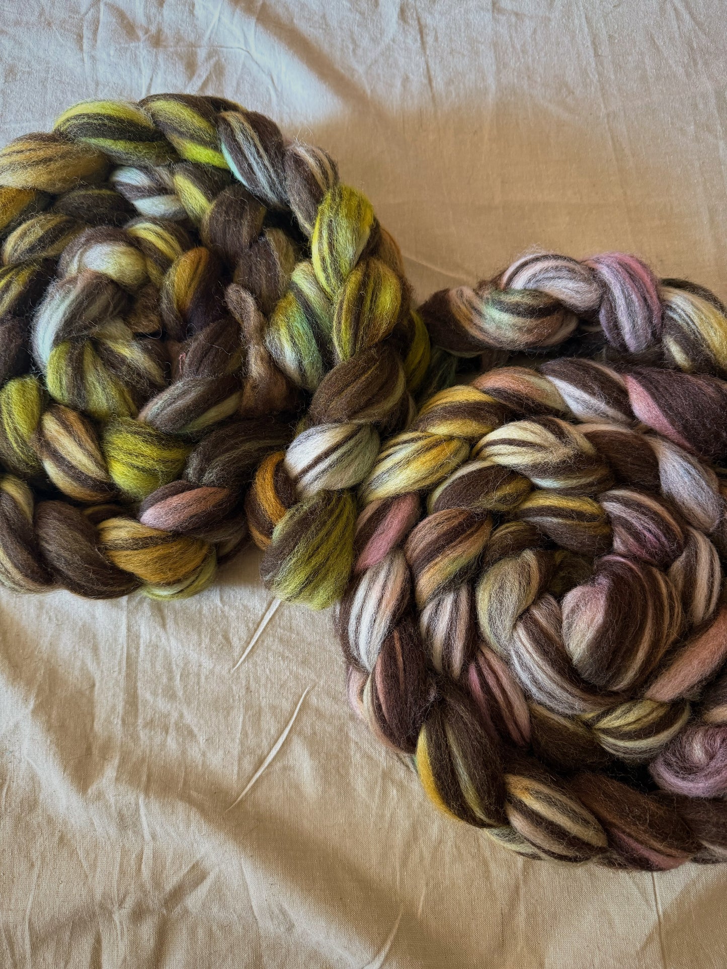 Thicket — Humbug Corriedale