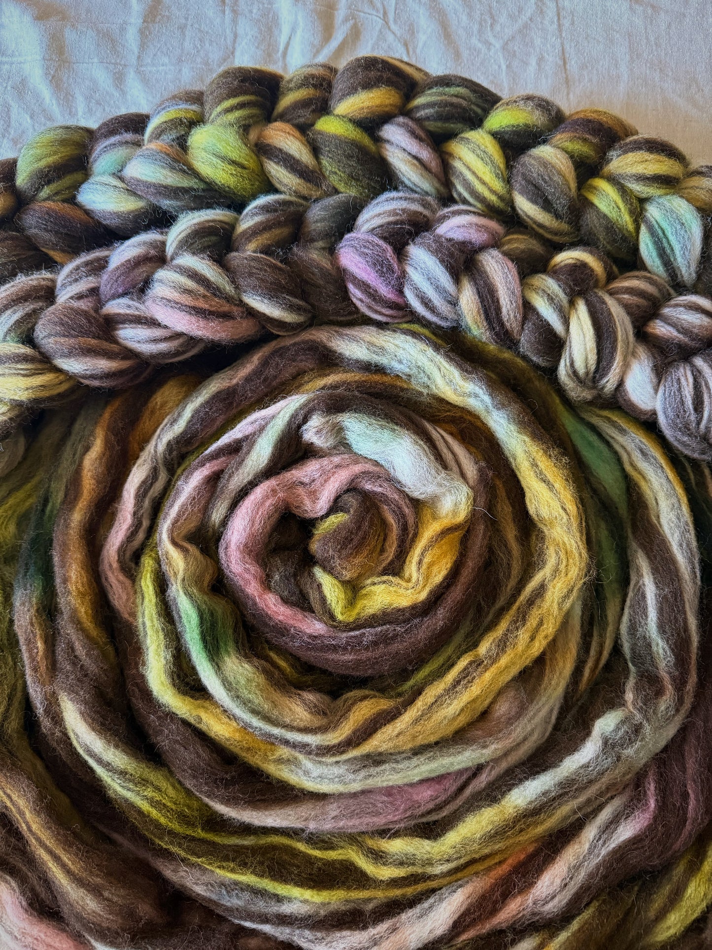Thicket — Humbug Corriedale