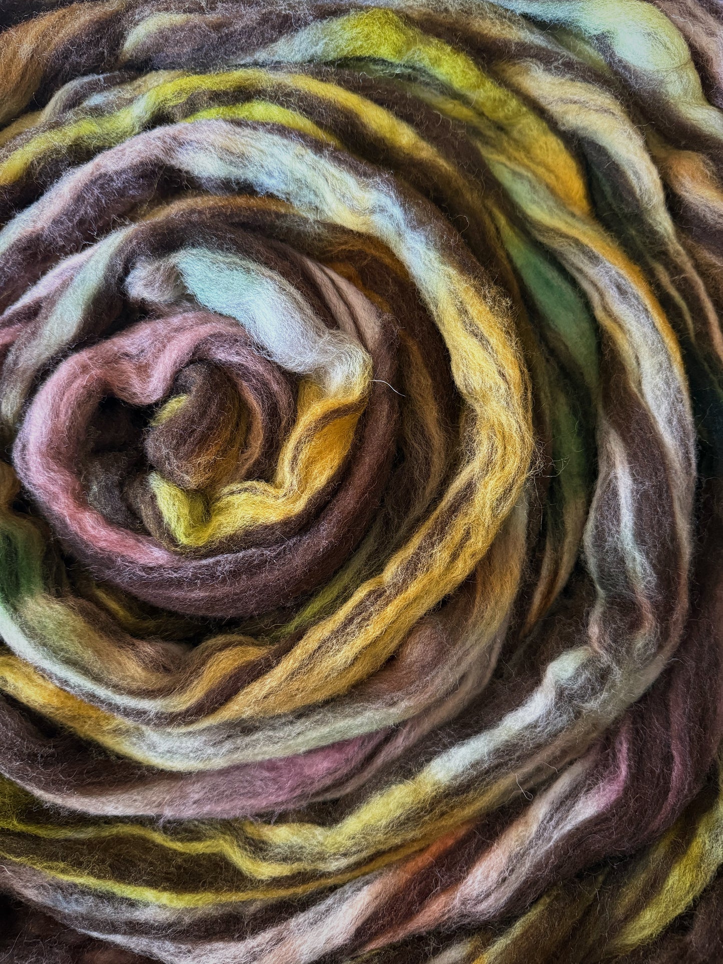 Thicket — Humbug Corriedale